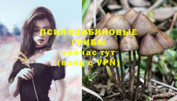 спиды Володарск
