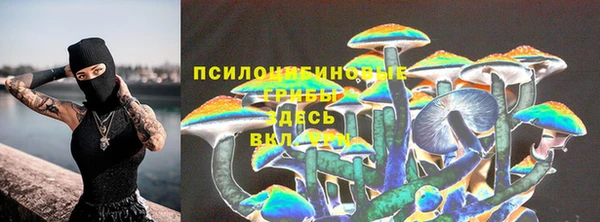 дурь Волосово