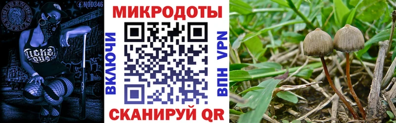 цена   Изобильный  ОМГ ОМГ ссылка  Галлюциногенные грибы GOLDEN TEACHER 